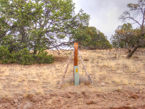 The Tripod is to protect the Telephone Junction Box from Cattle rubbing.